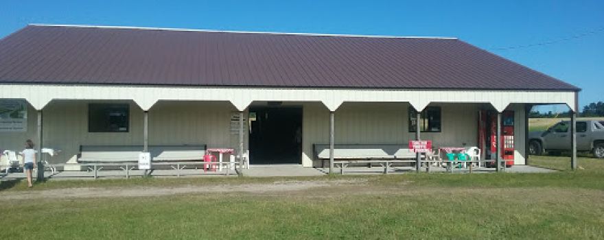 Pellegrini's Strawberry Farm