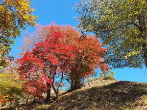 Gasansanseong Fortress, Chilgok