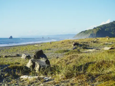 레드우드 크릭 피크닉 에어리어