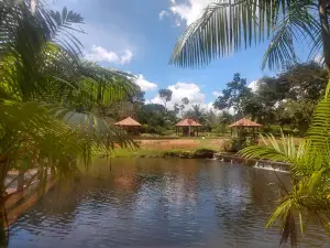 Balneário Bambu