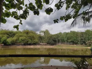 Étangs piscicoles
