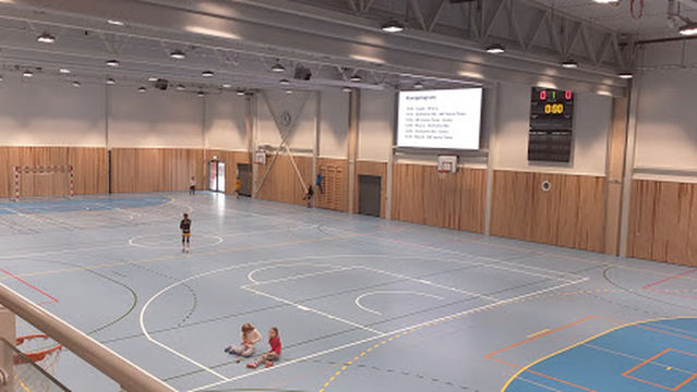 Moelvhallen