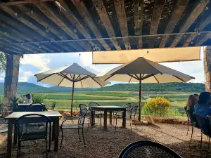Restaurante Sarmiento - Viñedos Puerta del Lobo
