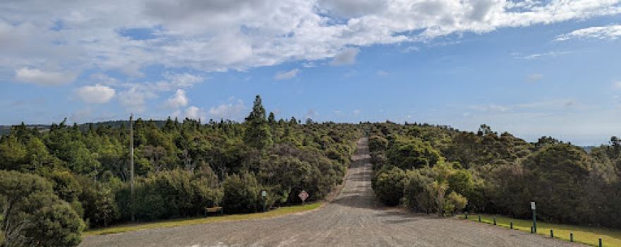Waipoua Forest Scenic Lookout