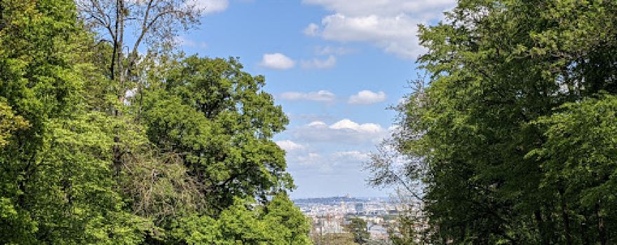 Forêt domaniale de Meudon