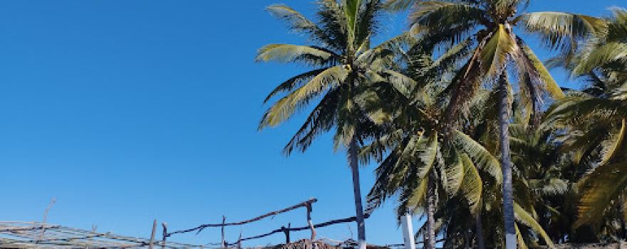 Garita Palmera