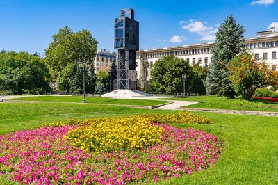 The City Garden