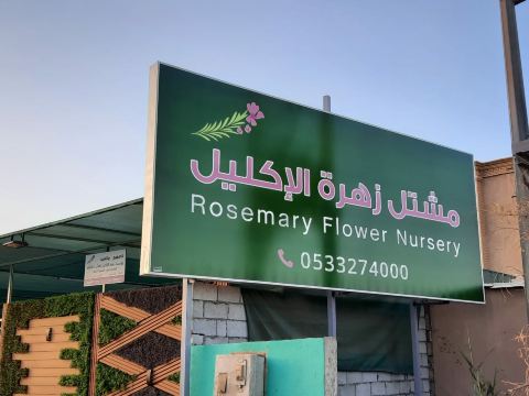 مشتل زهرة الإكليل _ Rosemary Flower Nursery