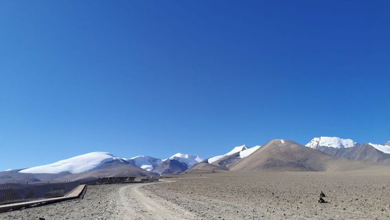 ding jie xian mu cun tu lin
