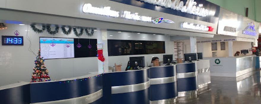 Central de Autobuses Gomez Palacio