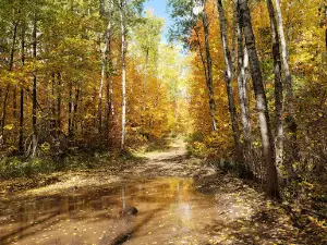 Gafvert Campground