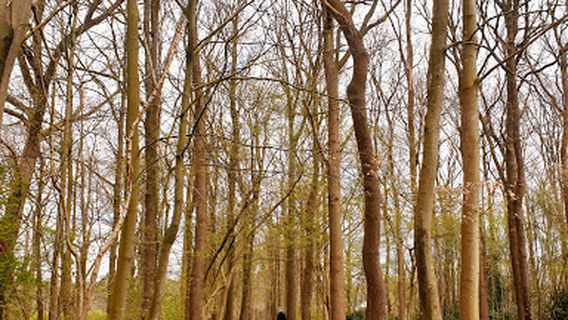 Valkenstijn/ Vredeveld