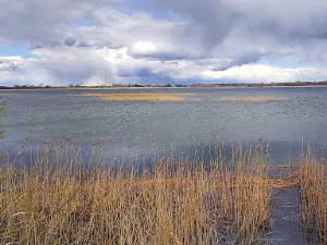 Lake Metelys