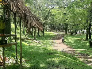 St. Padre Pio Green Valley