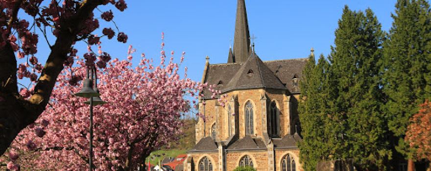Franziskanerbrüder vom Heiligen Kreuz e.V.
