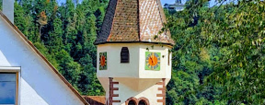 Schlossruine Wildberg