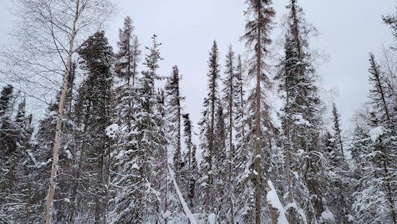 Captain Cook State Recreation Area