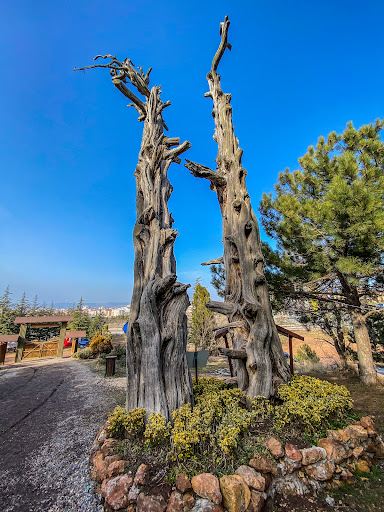 Eskişehir Kent Ormanı