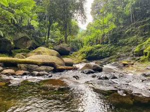 Bidadari Waterfall Talun District of Pekalongan