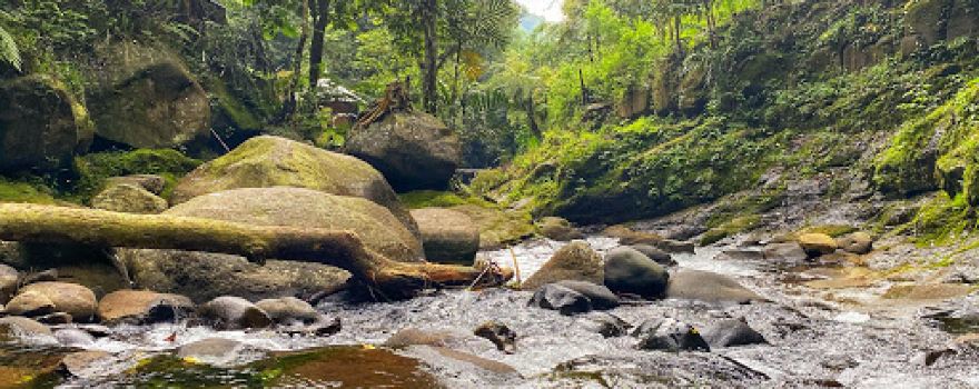 Bidadari Waterfall Talun District of Pekalongan