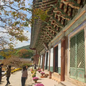 襌雲寺