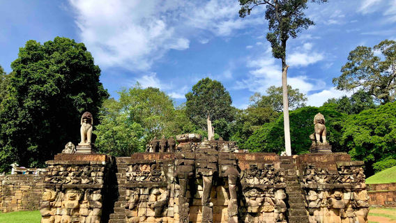 Terrace of the Elephants
