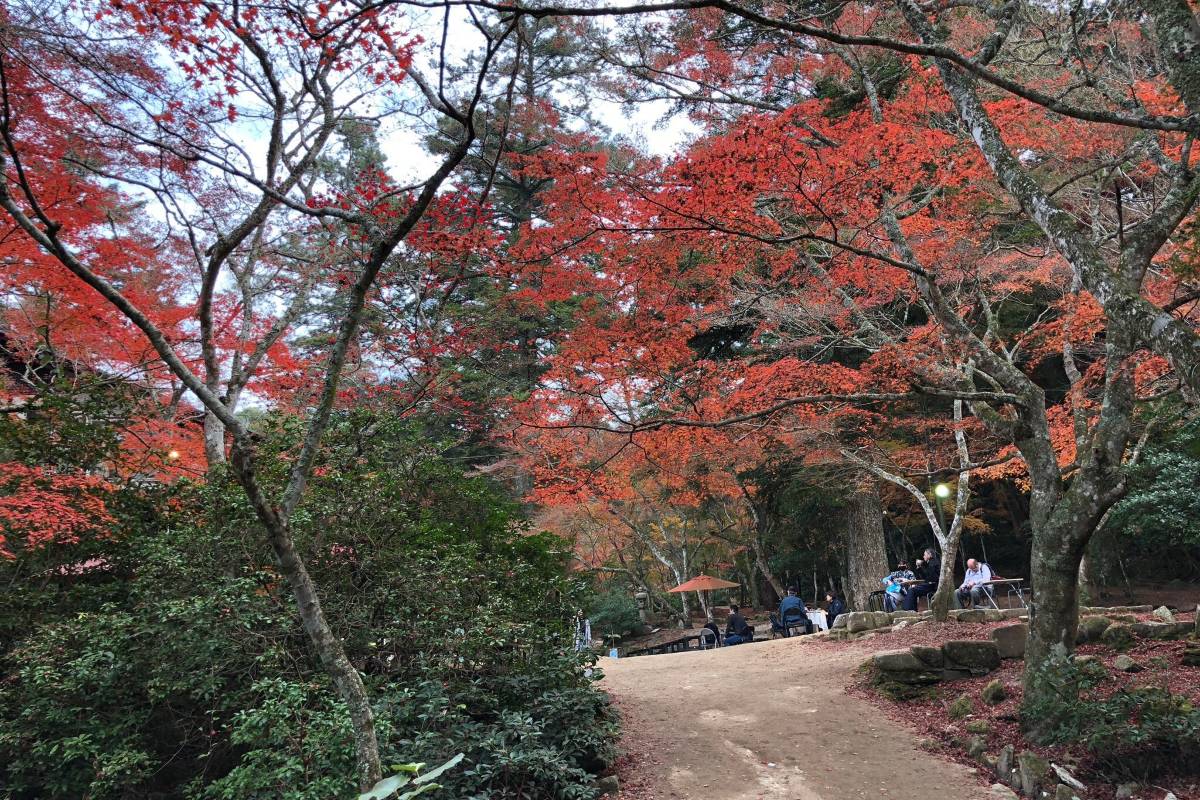 廣島紅葉 | 紅葉谷公園