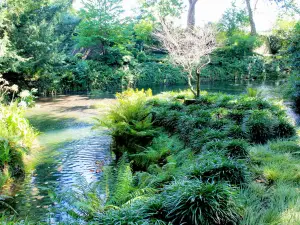 アトランティコ植物園