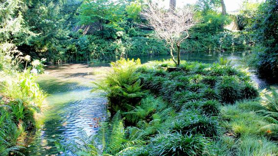 Jardin Botanico Atlantico
