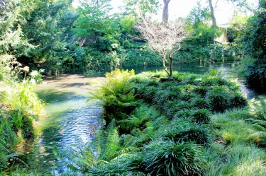 Jardin Botanico Atlantico