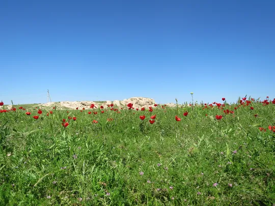 3_Afrasiyab Settlement Site