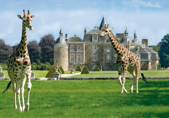 Zoo and Castle Bourbansais