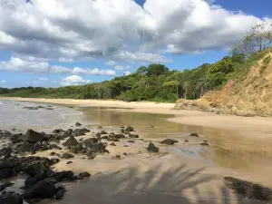 parc national marin Las Baulas