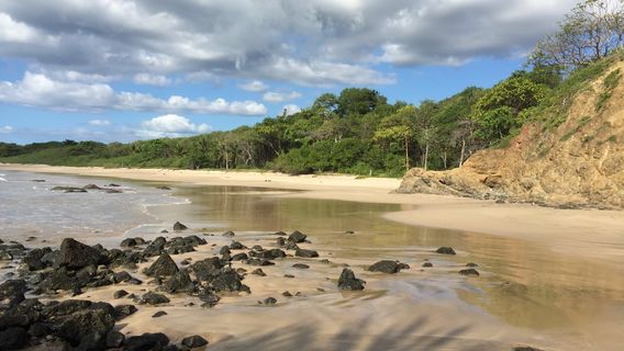 Las Baulas National Marine Park