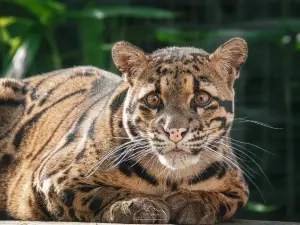 Exmoor Zoological and Conservation Centre