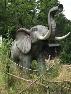 Zoo of Minis