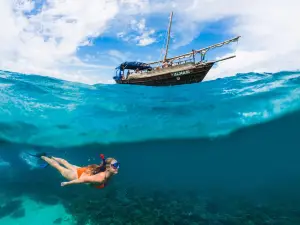 Pilli Pipa Dhow Safari