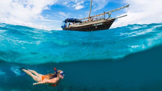 Pilli Pipa Dhow Safari