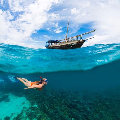 Pilli Pipa Dhow Safari