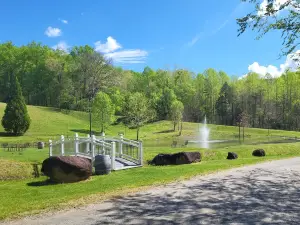 Delfosse Vineyards and Winery
