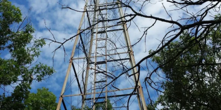 Sand Dunes State Forest
