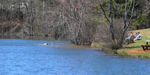 Lost Mountain Park