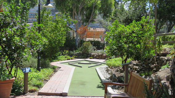Golf Gardens
