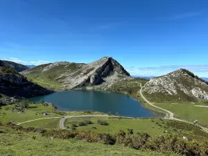 Picos de Europa