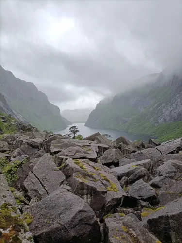 Byrkjedal