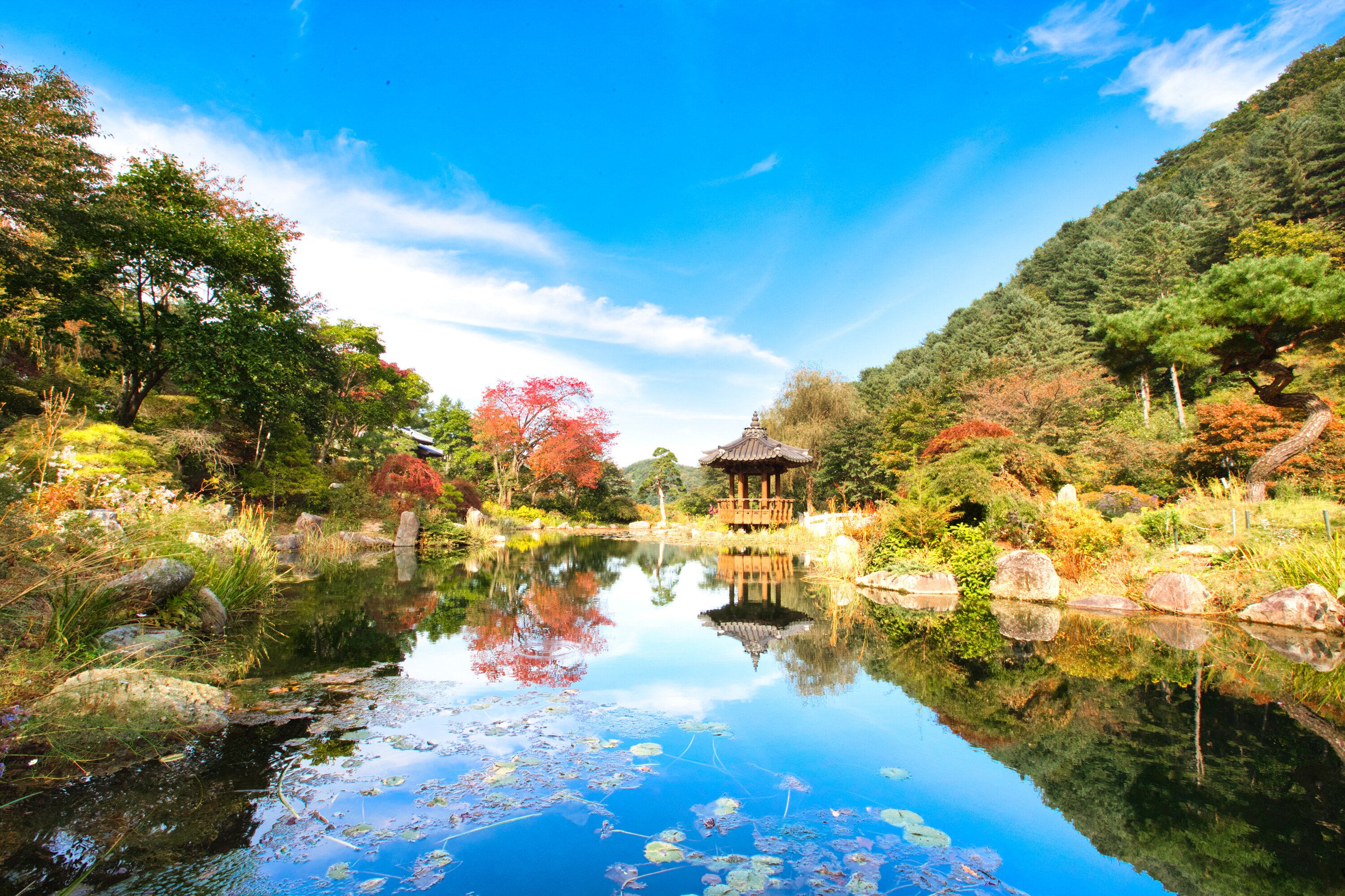 2025 Gapyeong-gun Travel Guide: Must-see attractions, popular food, hotels, transportation routes (updated in June)