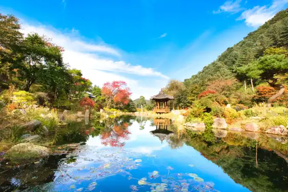 鄰近晨靜園藝樹木園的酒店