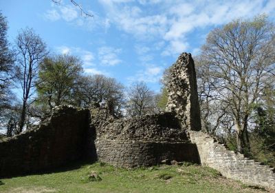 Northop Hall