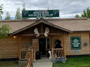 Northern Wildlife Museum
