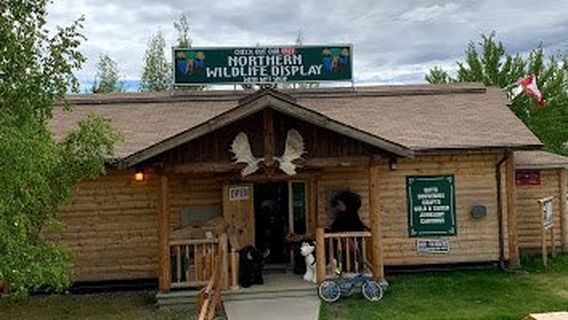 Northern Wildlife Museum